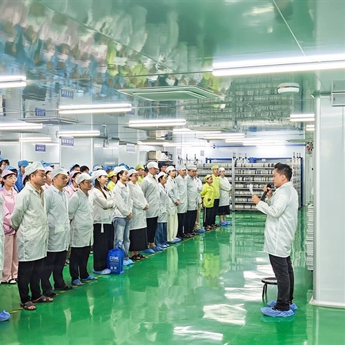 STHL Reviews Team Progress At Quarterly Meeting